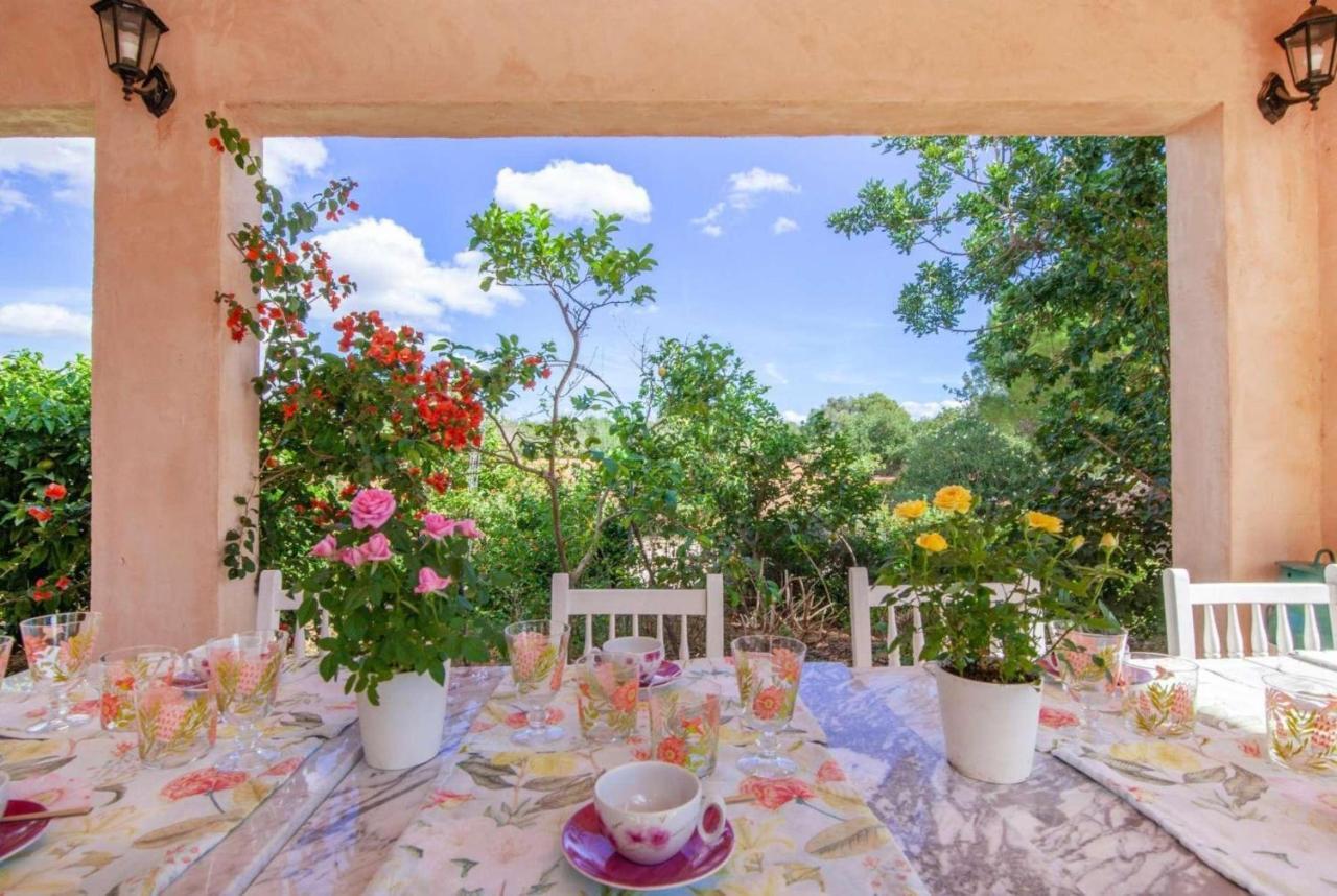 Villa Son Marimon *